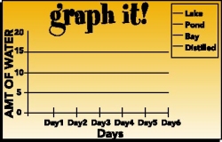 graph it