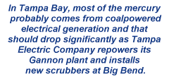 In Tampa Bay, most of the mercury probably comes from coalpowered electrical generation and that should drop significantly as Tampa Electric Company repowers its Gannon plant and installs new scrubbers at Big Bend.