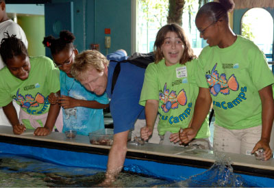 Campers get a demonstration on how to feed stingrays.