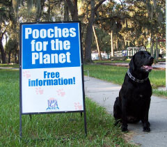 Black Lab Poses by a Sign that Reads Pooches for the Planet