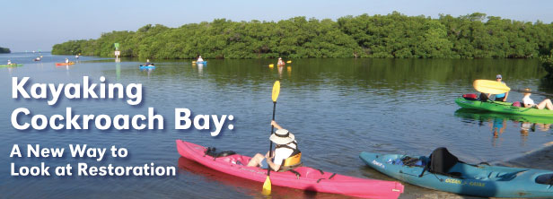Kayaking Cockroach Bay: A New Way to Look at Restoration