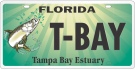 Tampa Bay Tag