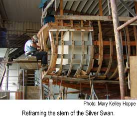 Reframing the stern of the Silver Swan