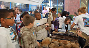 Kids look at table full of animal skins and a small live gator