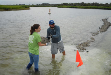 TBW Environmental Scientist Kevin Misiewicz and a Mosaic volunteer place shell bags at the Shultz Nature Preserve oyster restoration site. 