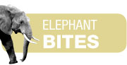 Elephant Bites headline