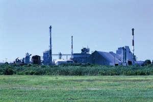 Piney Point Plant