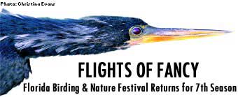 Florida Birding and Nature Festival Returns for 7th Season