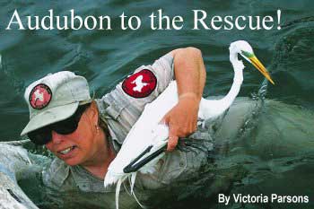 Audubon to the Rescue!
