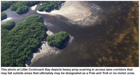 Seagrass Protection at Cockroach Bay Yields Diverging Proposals