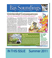 Bay Soundings printed edition cover