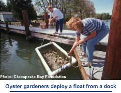 Oyster gardeners deploy a float from a dock