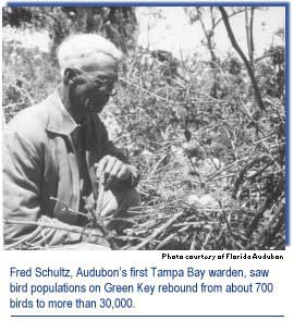 Fred Schultz, Audubon's first Tampa Bay warden, saw bird populations on Green Key rebound from about 700 birds to more than 30,000.