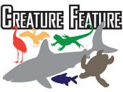 Bay Soundings Creature Feature