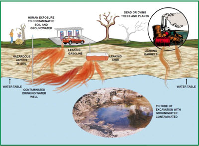 Graphic courtesy FDEP Leaking petroleum storage tanks can contaminate groundwater as well as expose people and plants to hazardous vapors.  