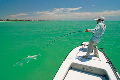 Capt. Dave Chouinard working hard to bring a tarpon to the boat in the clear waters just off Anna Maria Island.