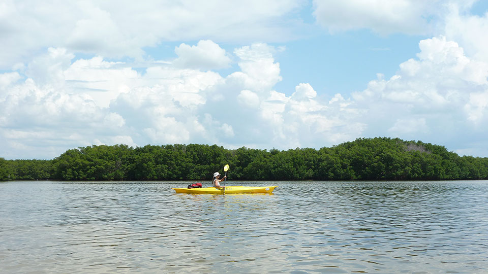 Tampa Bay Rivers and Bays Ideal for Exploring by Kayak Bay Soundings