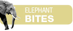 elephant-bites-header