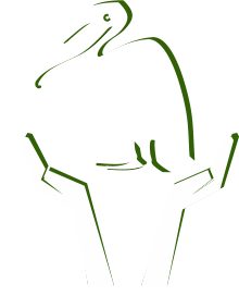 Save-the-Bird-graphic