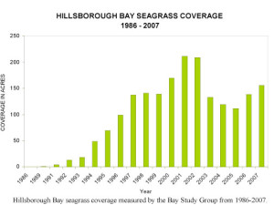 seagrass coverage sotb