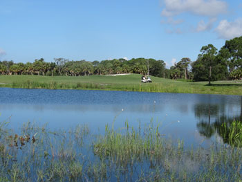 The golf course on the southern tip of MacDill Air Force Base was reconfigured to capture stormwater before it enters Tampa Bay.
