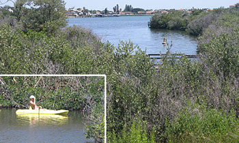 SWIM's restoration of Clam Bayou created a natural oasis in urban Gulfport.