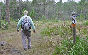 Photo by Nanette O'Hara. Blackwater Creek in Hillsborough County is a well-kept secret -- even though it's also one of the region's best hikes.