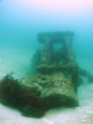 The engine of the USS Narcissus lies nearly intact on the wreck site near Egmont Key. Photo courtesy the Florida Aquarium.