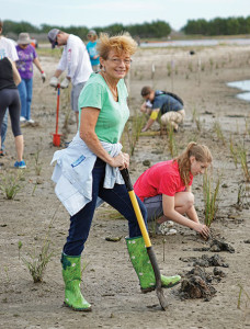 More than 400 volunteers dug holes and planted marsh grasses on sloping shorelines at Rock Ponds. Photo by Peter Clark.