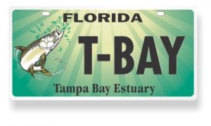 Bay Mini-Grants are funded through the Tarpon Tag