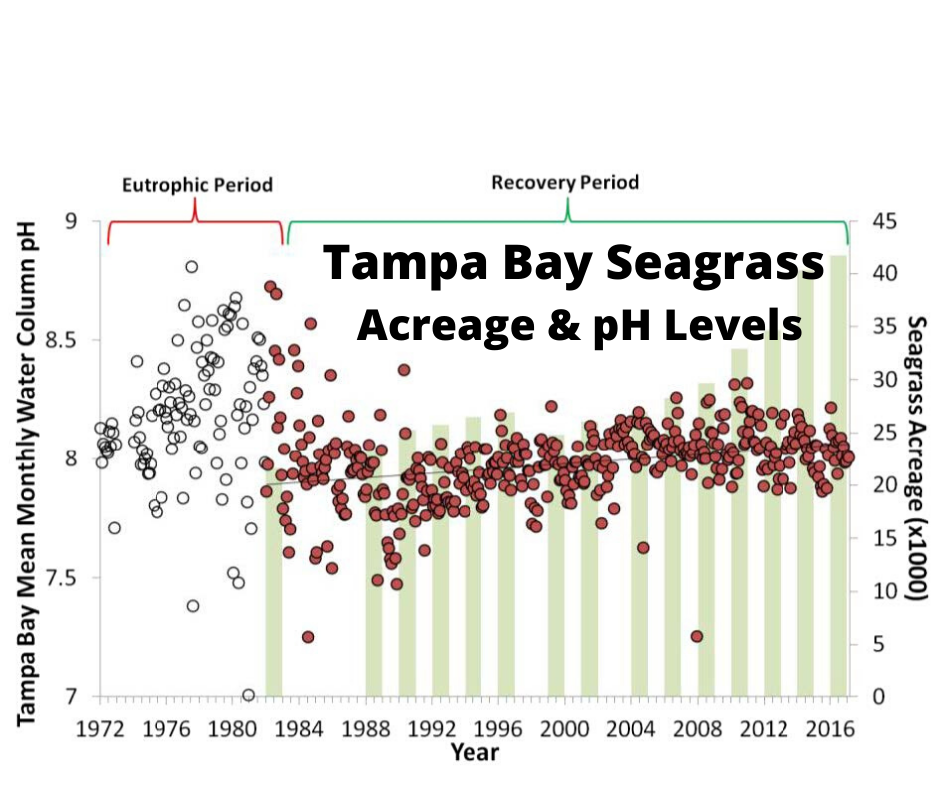 Tampa Bay Bucks Global Trend Toward Ocean Acidification