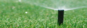 Grass sprinkler