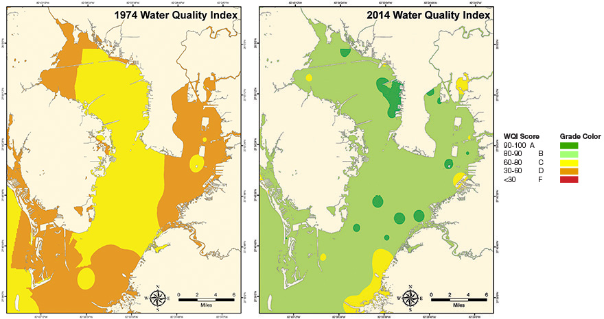 Old Tampa Bay Water Quality, Environmental Services