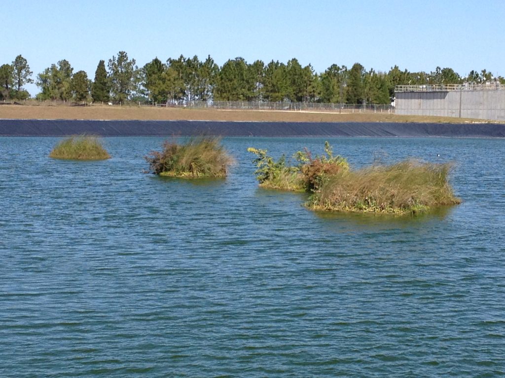 Man-made floating islands help reduce pollution | Bay Soundings