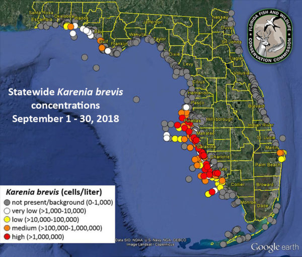Planning for red tide can mitigate impacts more effectively Bay Soundings