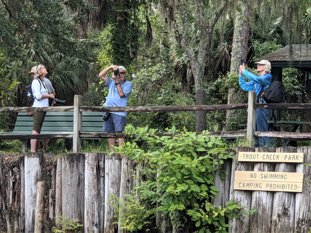 Different Angles to Trout Creek Conservation Park Bay Soundings